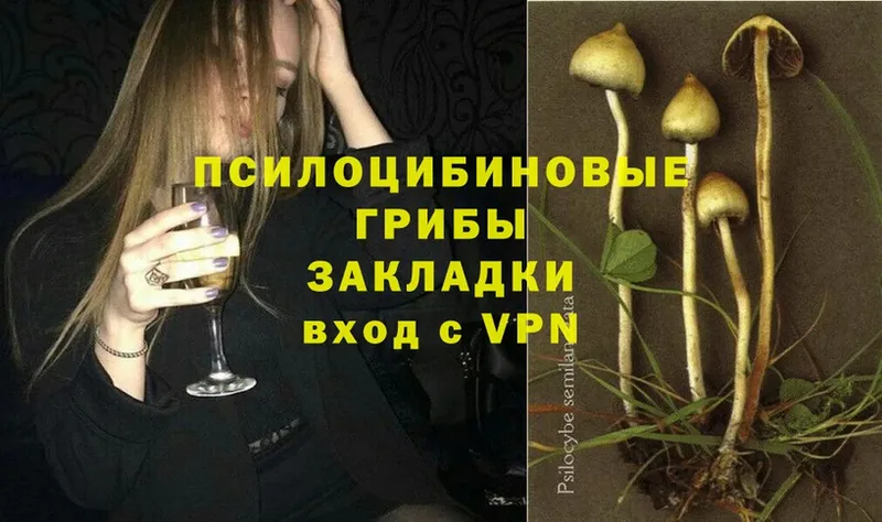 Псилоцибиновые грибы Magic Shrooms  Белореченск 